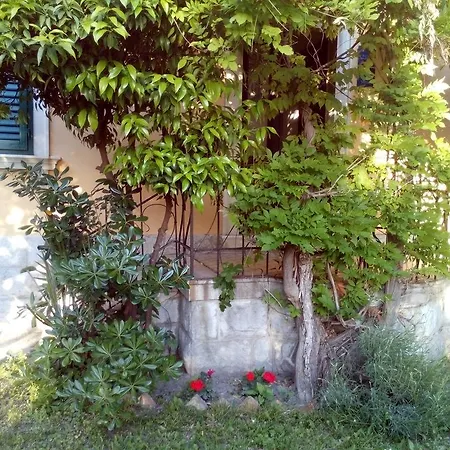 Casa de hóspedes Pearls 3*